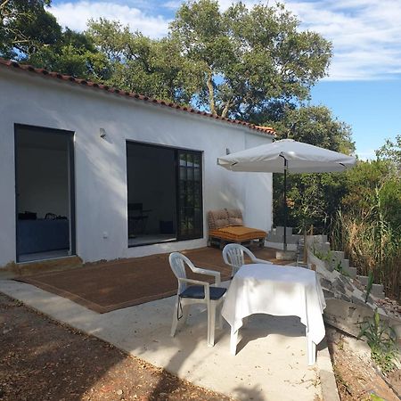 Quinta De Sao Pedro Villa Sobreda Bagian luar foto