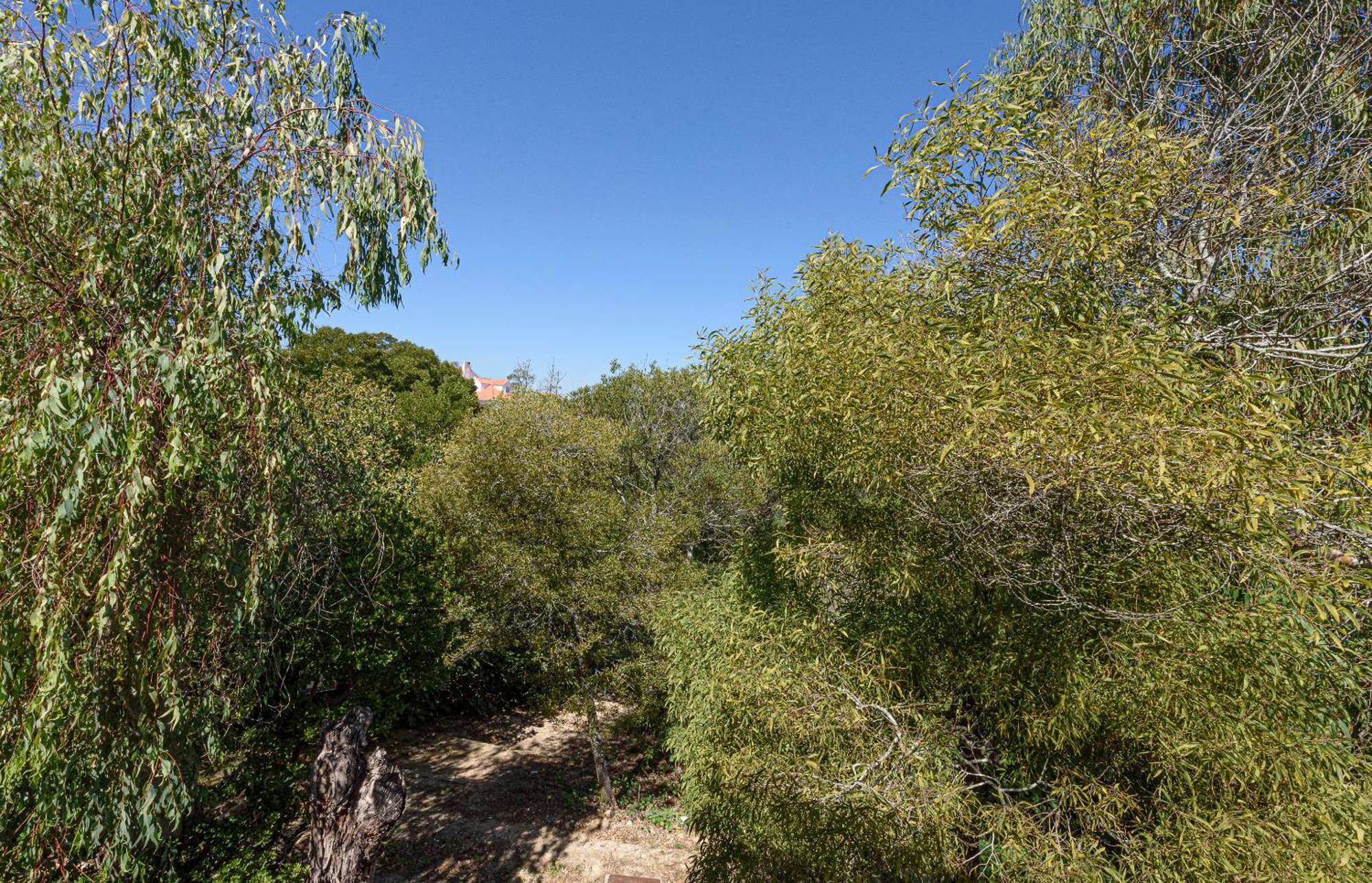 Quinta De Sao Pedro Villa Sobreda Bagian luar foto