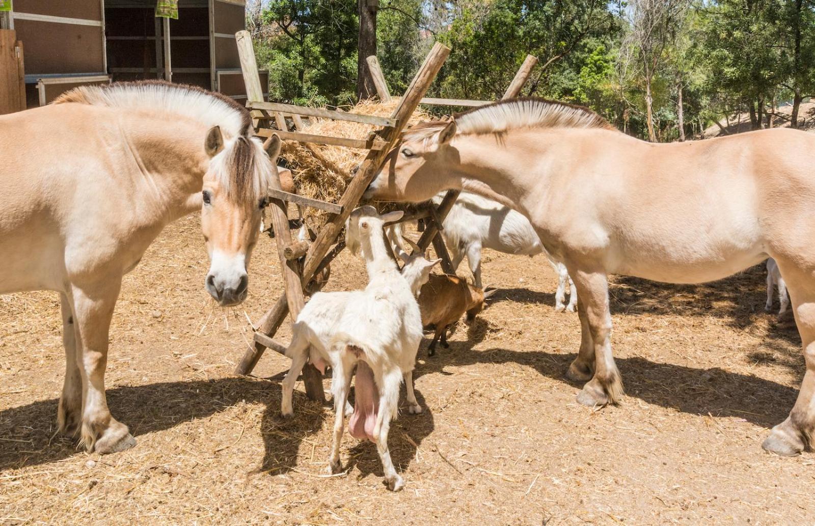 Quinta De Sao Pedro Villa Sobreda Bagian luar foto