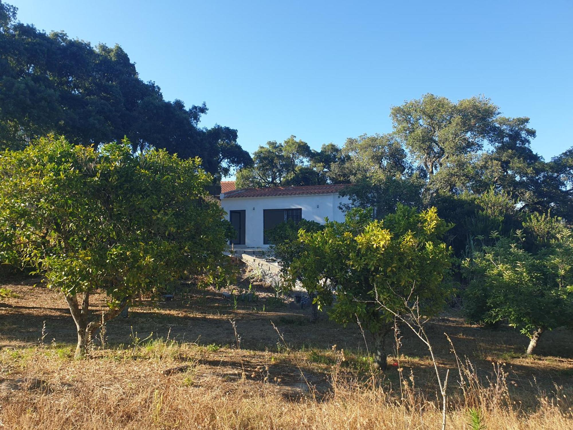 Quinta De Sao Pedro Villa Sobreda Bagian luar foto
