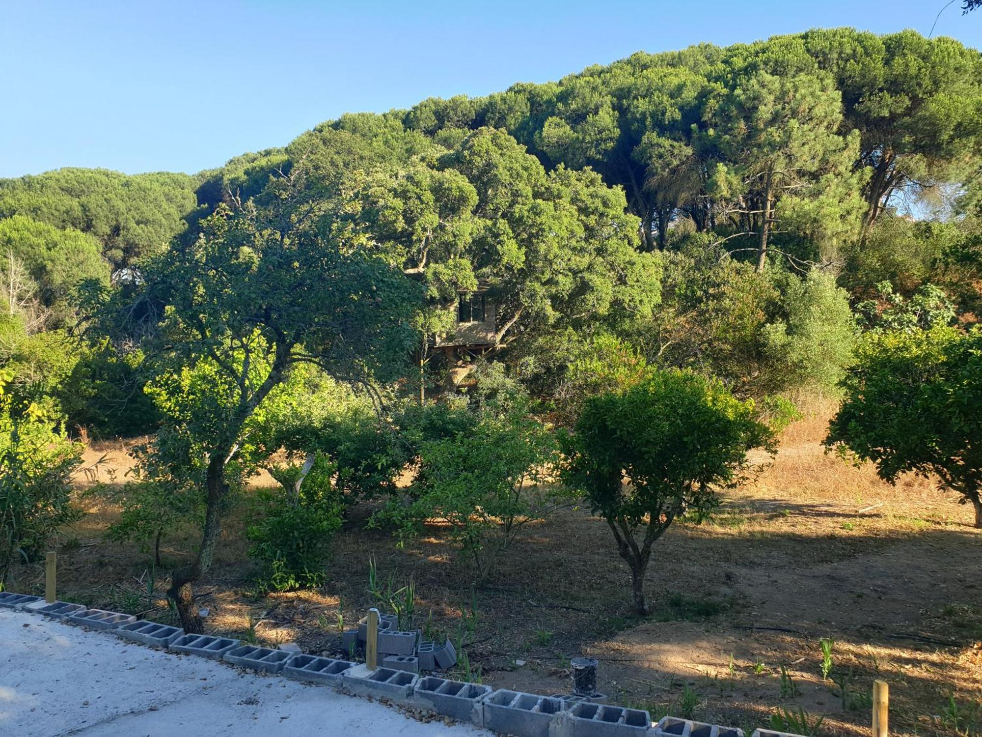 Quinta De Sao Pedro Villa Sobreda Bagian luar foto